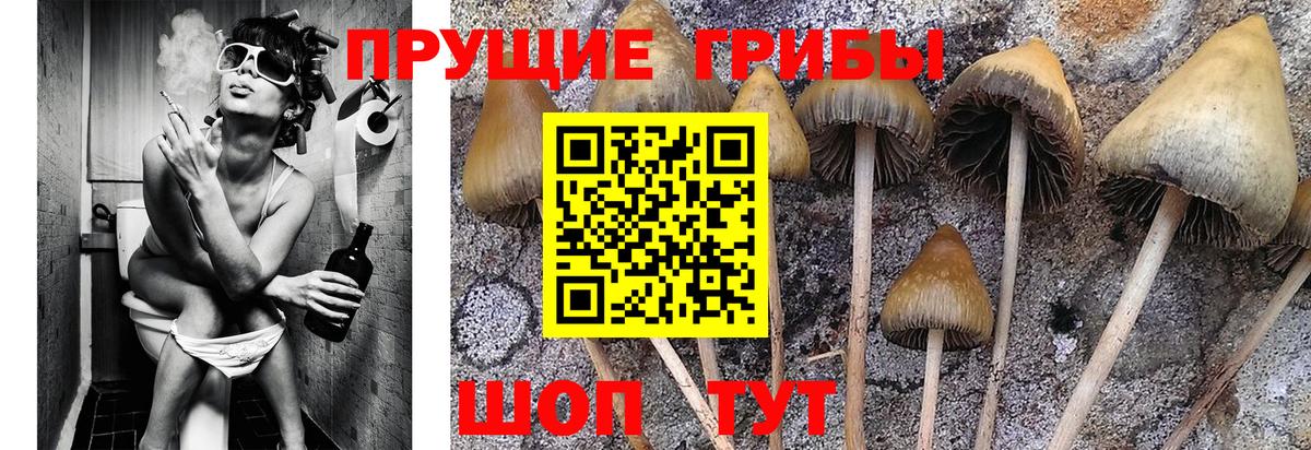 Галлюциногенные грибы мухоморы Слободской