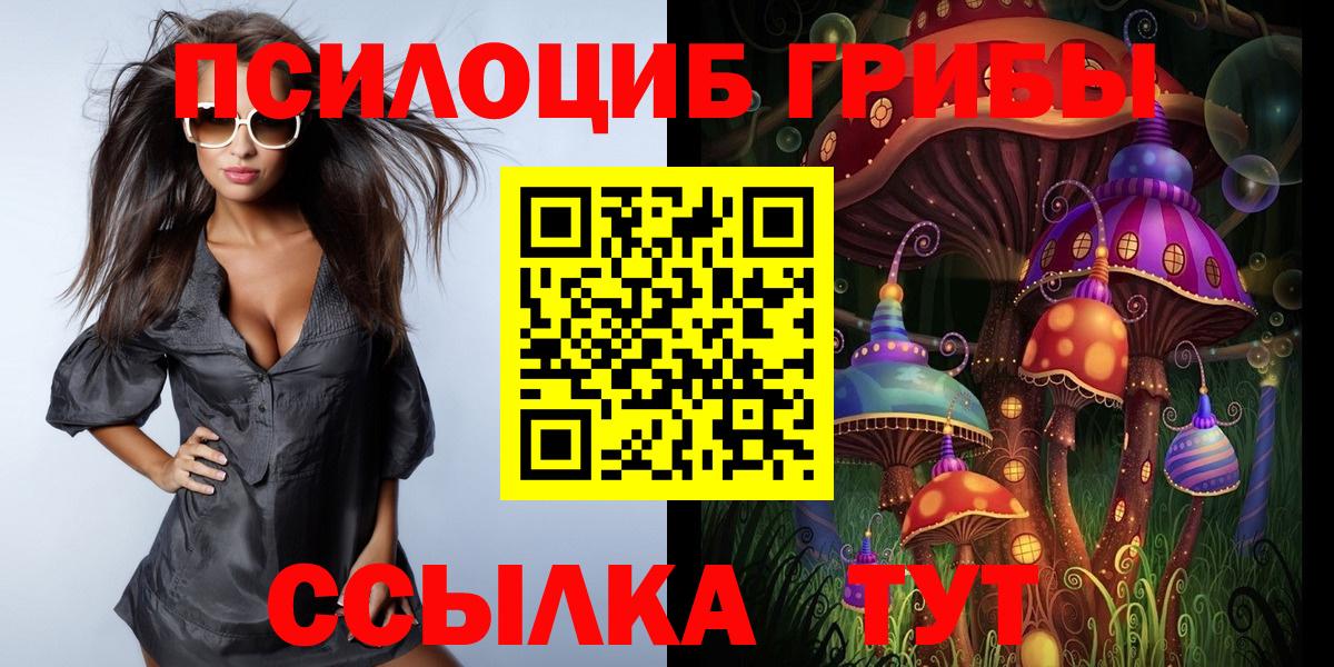 Галлюциногенные грибы Psilocybe  Вход с VPN  Слободской 